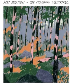 Will Stratton The Changing Wilderness (LP)