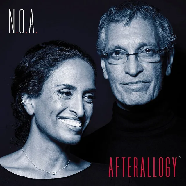 Noa Afterallogy (LP) 