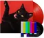 Ryan Adams Big Colors - LTD (LP+7")