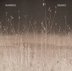 Numinos Grains (LP)