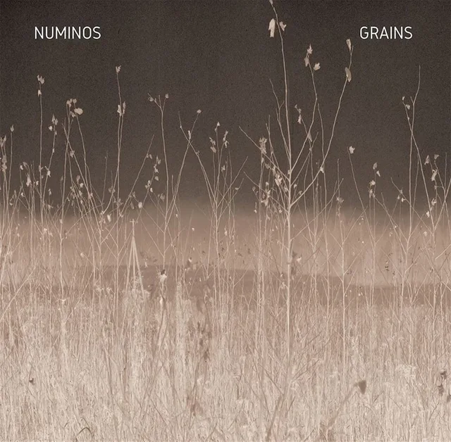 Numinos Grains (LP) 