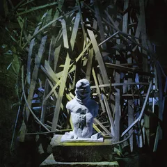 Withered Verloren (LP)