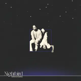 Watchhouse Watchhouse (LP)