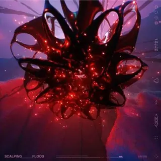 Scalping Flood - LTD (12") 