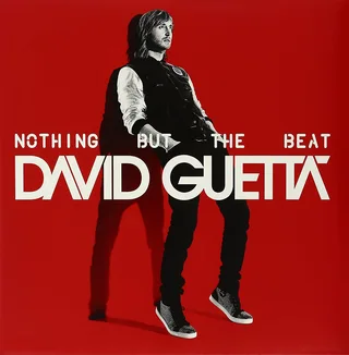 David Guetta Nothing But The Beat (2LP)
