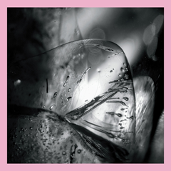 Loscil Clara (2LP)