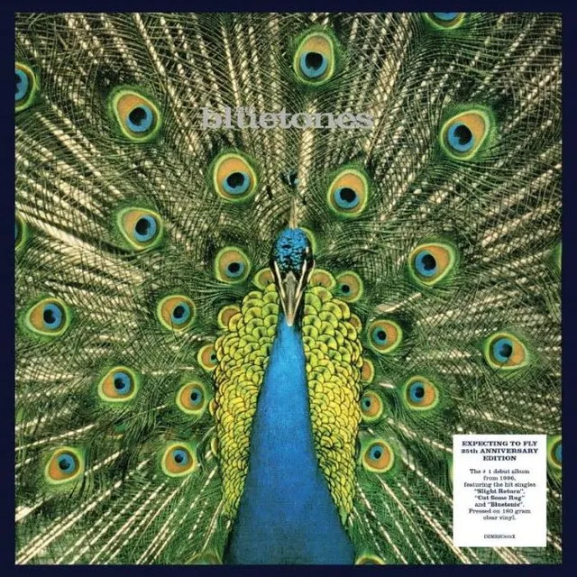 The Bluetones Expecting To Fly - LTD 25th Anniv. (LP) 