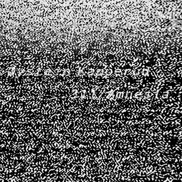 Øystein Kapperud 311/Amnesia (2LP) 