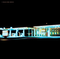 I Sing My Body Electric I Sing My Body Electric (LP)