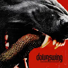 Downswing And Everything Was Dark (LP)