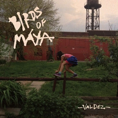 Birds Of Maya Valdez (LP)