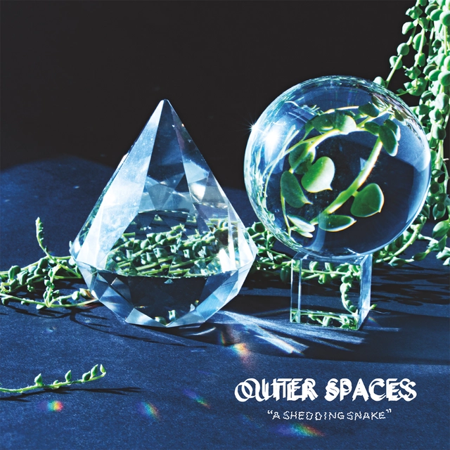 Outer Spaces A Shedding Snake (LP) 