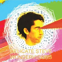 Delicate Steve Wondervisions (LP)