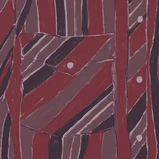 Jake Xerxes Fussell &amp; James Elkington Rebuilding (LP)