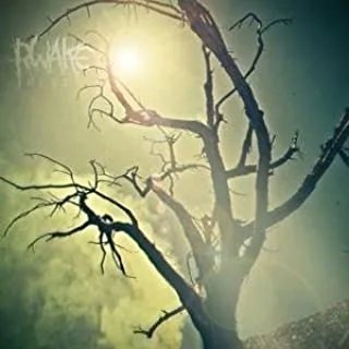 Rwake Rest (2LP) 