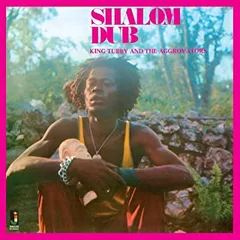 King Tubby &amp; The Aggrovators Shalom Dub (LP)