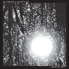 Six Organs of Admittance Luminous Night (LP)