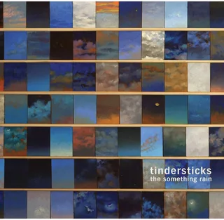Tindersticks The Something Rain (LP)