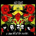 Incubus A Crow Left Of The Murder (2LP)