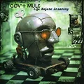 Gov't Mule Life Before Insanity (2LP)