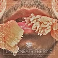 Toro Y Moi Underneath the Pine (LP)