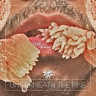 Toro Y Moi Underneath the Pine (LP)