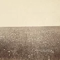 The Milk Carton Kids The Ash And Clay (LP)