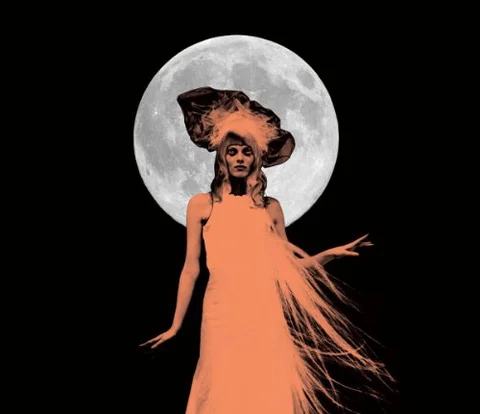 Karen Elson The Ghost Who Walks (LP) 