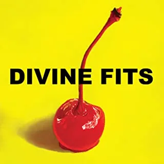 Divine Fits A Thing Called Divine Fits (LP) 