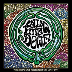 Diverse artister Follow Me Down (2LP)