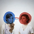 Dirty Projectors Bitte Orca (LP)