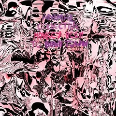 Animal Collective Monkey Been to Burntown (12'')