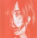 Deerhunter Microcastle (2LP)