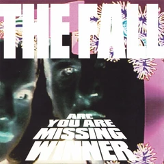 The Fall Are You Are Missing Winner - LTD (2LP)