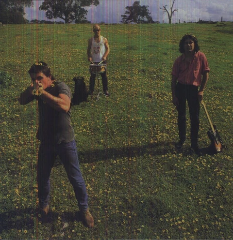 Cosmic Psychos Down on the Farm (12'') 
