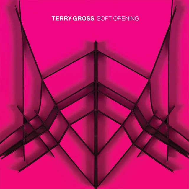 Terry Gross Soft Opening - LTD (LP) 