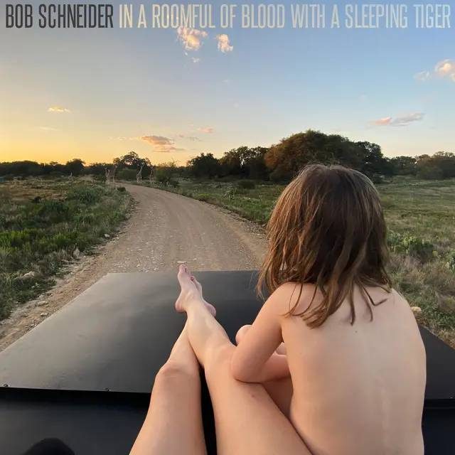 Bob Schneider In A Roomful Of Blood With A… (LP) 