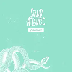 Stand Atlantic Sidewinder (12")