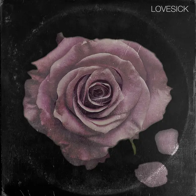 Raheem DeVaughn Lovesick (LP) 