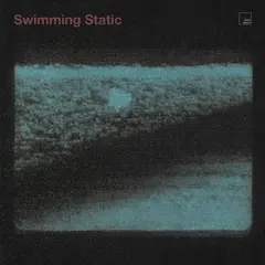 Elder Island Swimming Static - LTD (LP)