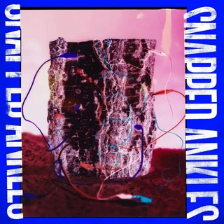 Snapped Ankles Forest Of Your Problems - LTD (LP)