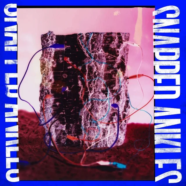 Snapped Ankles Forest Of Your Problems (LP) 