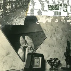 Swell Maps Mayday Signals (2LP)