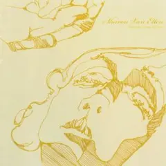 Sharon Van Etten Because I Was In Love (LP)