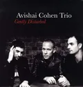 Avishai Cohen Trio Gently Disturbed (LP)