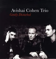 Avishai Cohen Trio Gently Disturbed (LP)