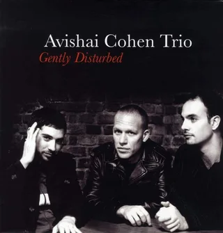 Avishai Cohen Trio Gently Disturbed (LP)