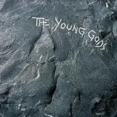 The Young Gods The Young Gods (2LP)