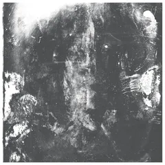 Rotting Sky Sedation (LP)