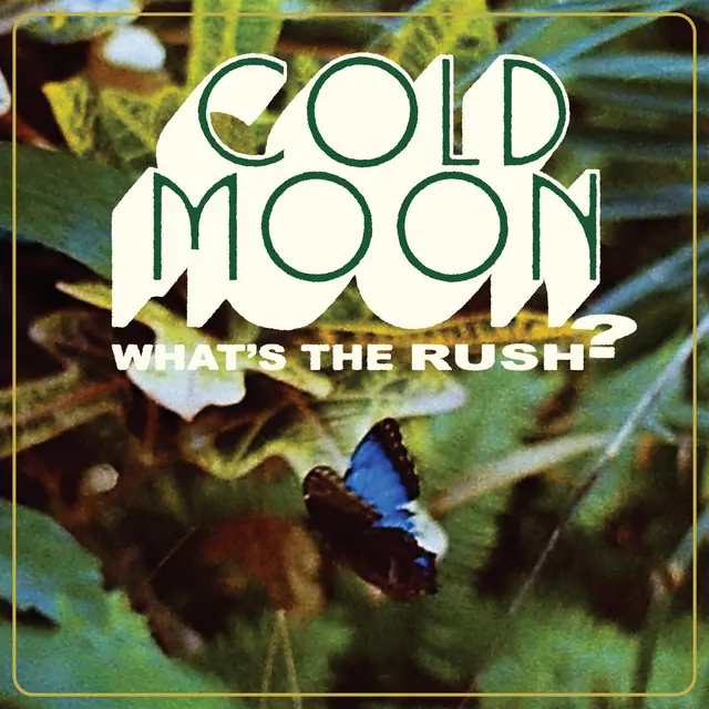 Cold Moon What's The Rush (LP) 